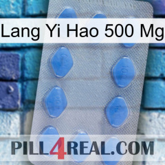 Lang Yi Hao 500 Mg 21